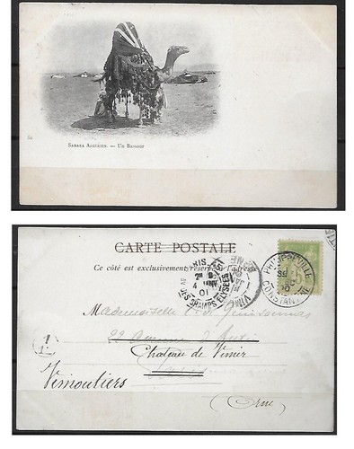 Cpa carte postale ancienne - cpa,