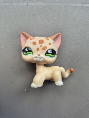 Figurine petshop chat - figurine,