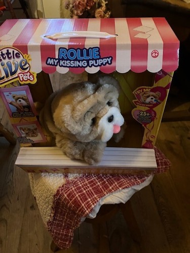 Little live pets rollie - little, my