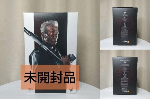Hot toys mms307 terminator - hot,