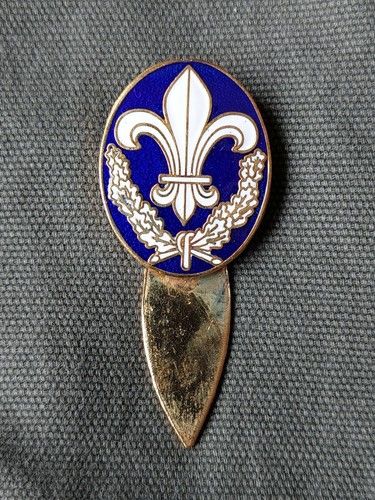 Insigne action francaise - insigne,