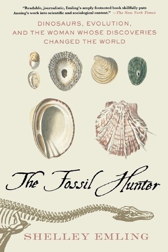 Shelley emling the - shelley, fossil