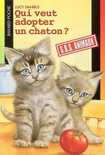 Qui veut adopter chaton - veut,