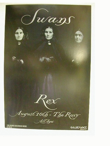 The swans sérigraphie affiche - swans,