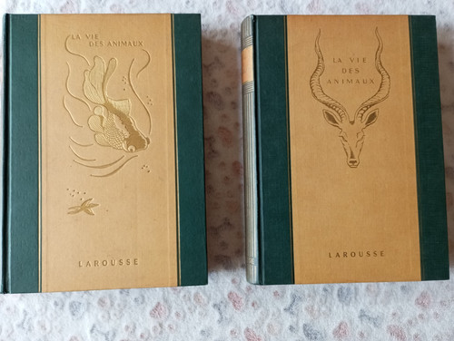 Superbes larousse tbe - larousse,