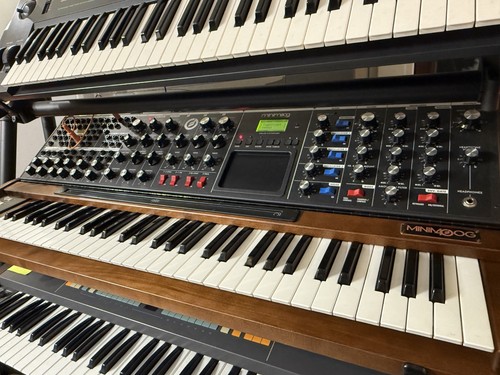 Moog minimoog voyager - moog,