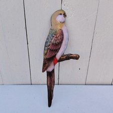 Oiseau perruche australienne