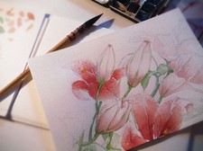 aquarelle, fleurs, nature