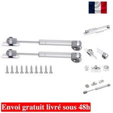 Pack de 2 Vérins à Gaz de 30