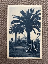 CPA NICE FLORE EXOTIQUE DU JARDIN ALBERT I ER
