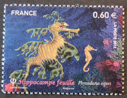 Timbre france hippocampe - timbre,