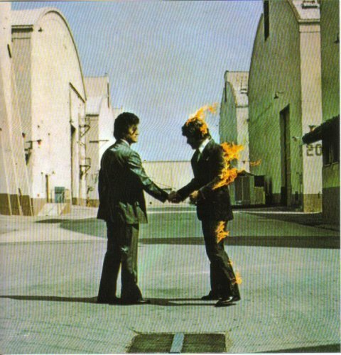 Pink floyd wish you were - pink,