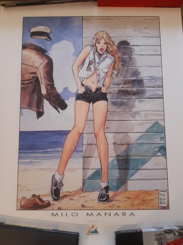 Affiche poster manara 60x80 - affiche,