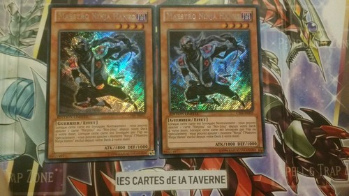 Lot cartes 2 maestro - lot,
