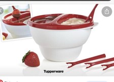 Tupperware Chic Dining Dipper