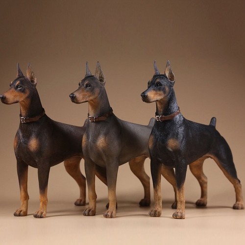 Scale doberman pinscher - 1/6,