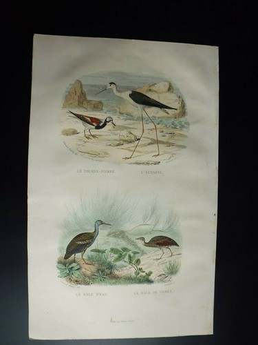 Gravure couleur