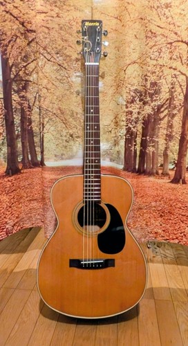 Guitare acoustique morris - morris, w-13
