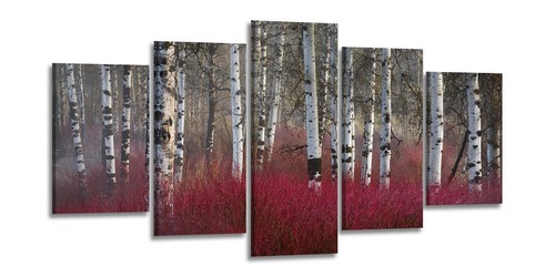 Tableau sur toile bouleaux - sur,