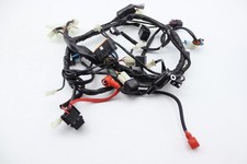 Faisceau électrique ORCAL 125 SIRIO 2022 à 2023