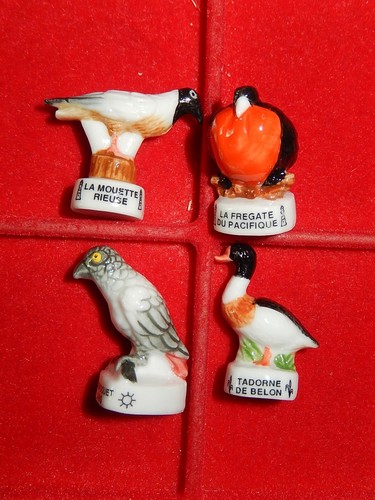 Feves differentes oiseaux - 4,