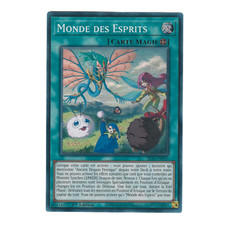 Yu-Gi-Oh! 🇫🇷 Monde des