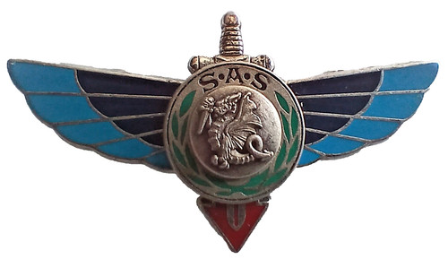 Insigne parachutistes para - -,
