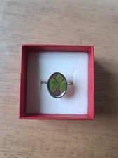 Bague porte bonheur avec véritable trèfle à 5 feuilles