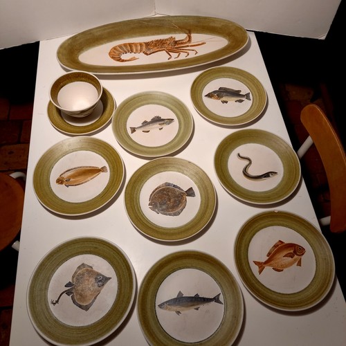 Service poisson assiettes - ,