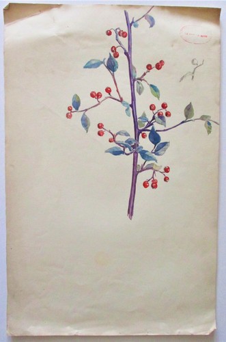 Gravure dessin aquarelle - dessin,