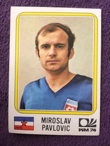 Panini image sticker - sticker,
