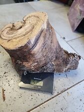 Bois d'olivier Provence N°X11 lot 1 rondin 5kg2 ,tournage,sculpture,coutellerie