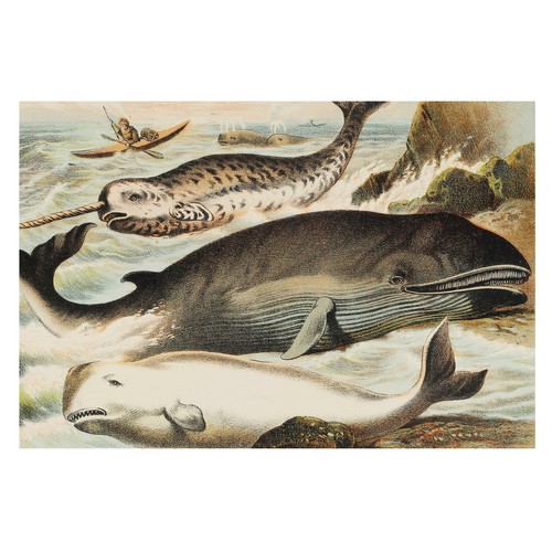 Peinture murale papier - peinture,