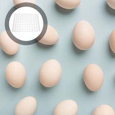  88 Compartments Incubateur