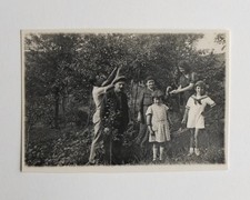 Cueillette arbre fruitier