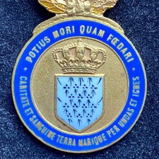 Médaille des Hospitaliers Sauveteurs Bretons