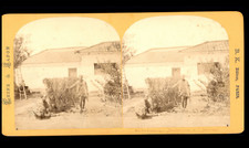 Japon, Yokohama, Jardin japonais, ca.1880, stéréo  tirage d'époque  10,