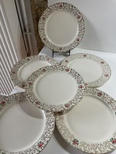 6 Assiettes Plates Villeroy et