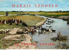 Animaux - Oiseaux - Canards - Marais Vendéen - La Famille Canard - CPM - Voir Sc