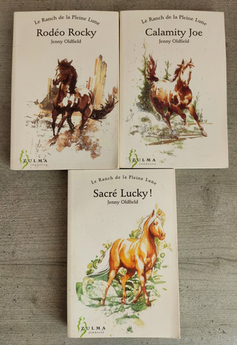 Lot livres jenny oldfield - lot,