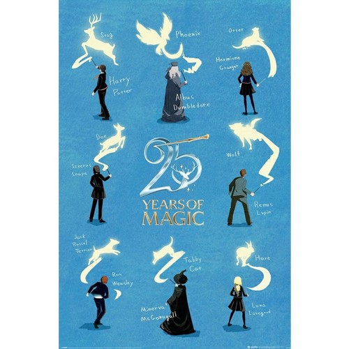 Affiche harry potter ans - harry, 25