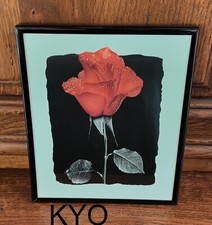 Cadre tableau fleur Rose rouge - noir blanc - 25,5 x 20,5 cm - Très bon état