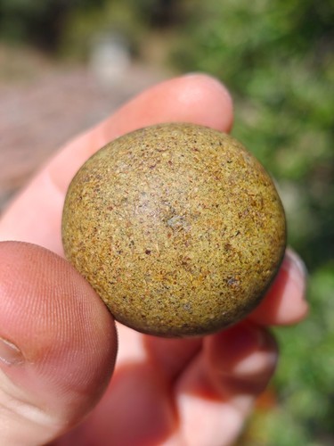 Rare authentique bezoard vert - rare,
