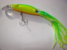 Leurre pêche traine mer bar bonite poisson pélagique