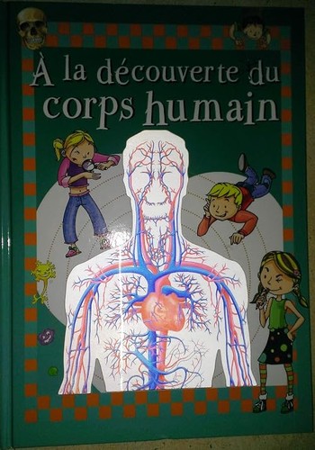 Découverte du corps - a,