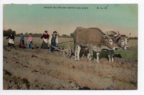 Agriculture campagne scene - agriculture,