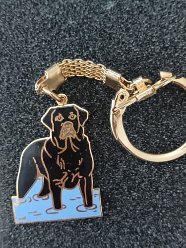 Porte clés bijou mode - ,