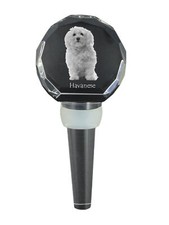 Havaneser, Bichon Havanais