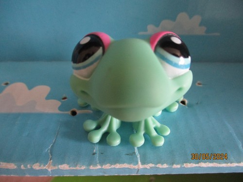 Petshop grenouille 2357 - grenouille, n°2357