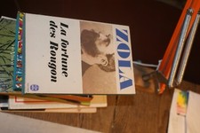 ZOLA: LA FORTUNE DES ROUGON